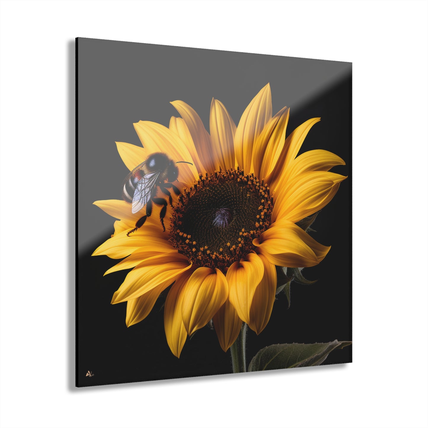 Bumblebee Sunflower, No Background Concept, Acrylic Wall Art