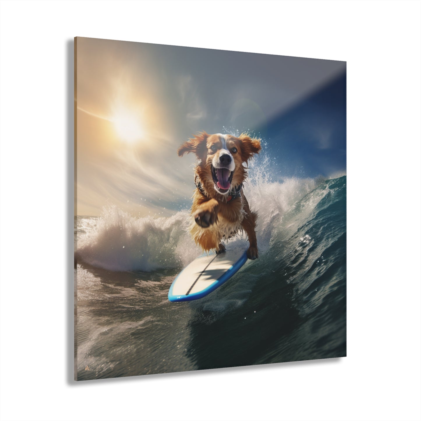 Surf's Pup, Animal Concept Style, Acrylic Wall Art