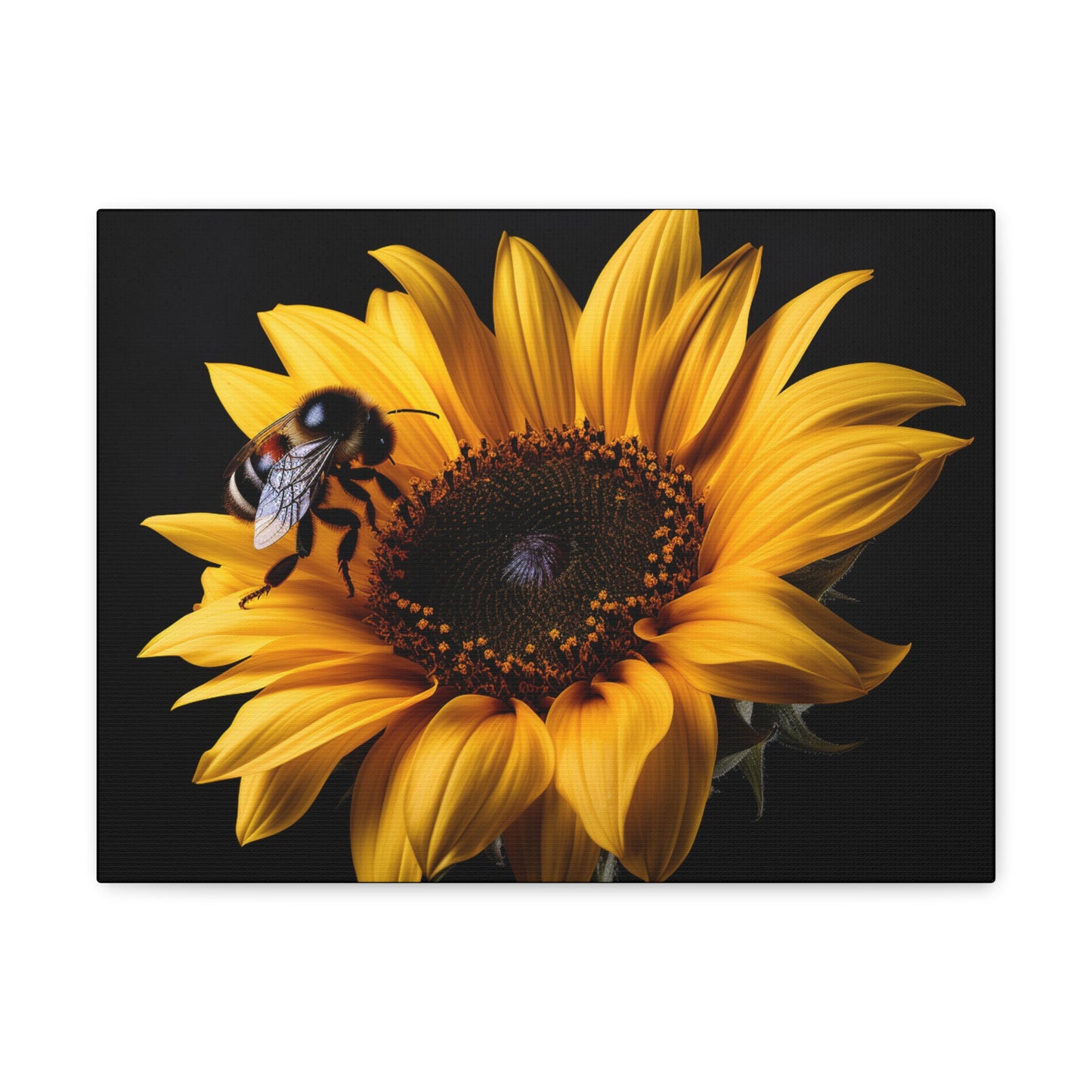 Bumblebee Sunflower Canvas Art