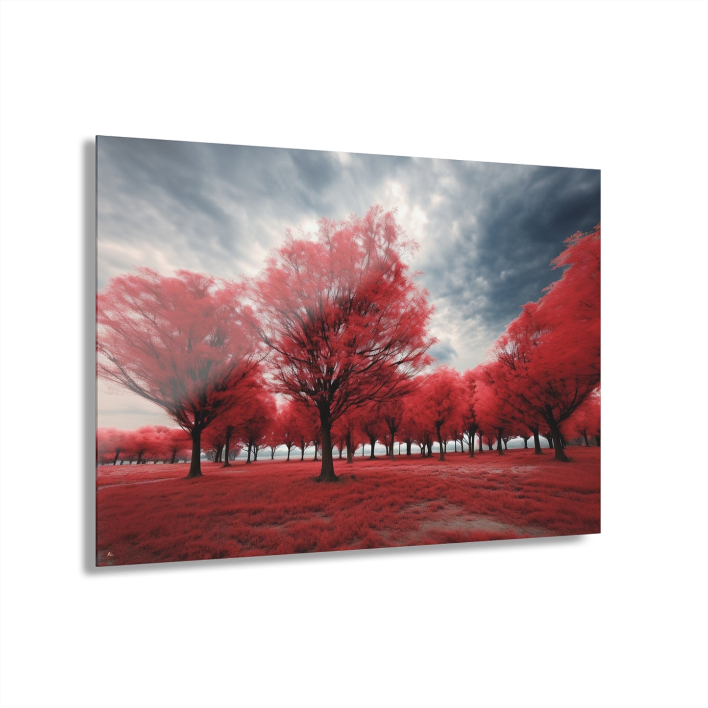 Red Bloom, Landscape, Concept, Acrylic Wall Art