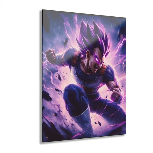 Vegeta god of destruction, dragon ball fan, concept style, acrylic wall art