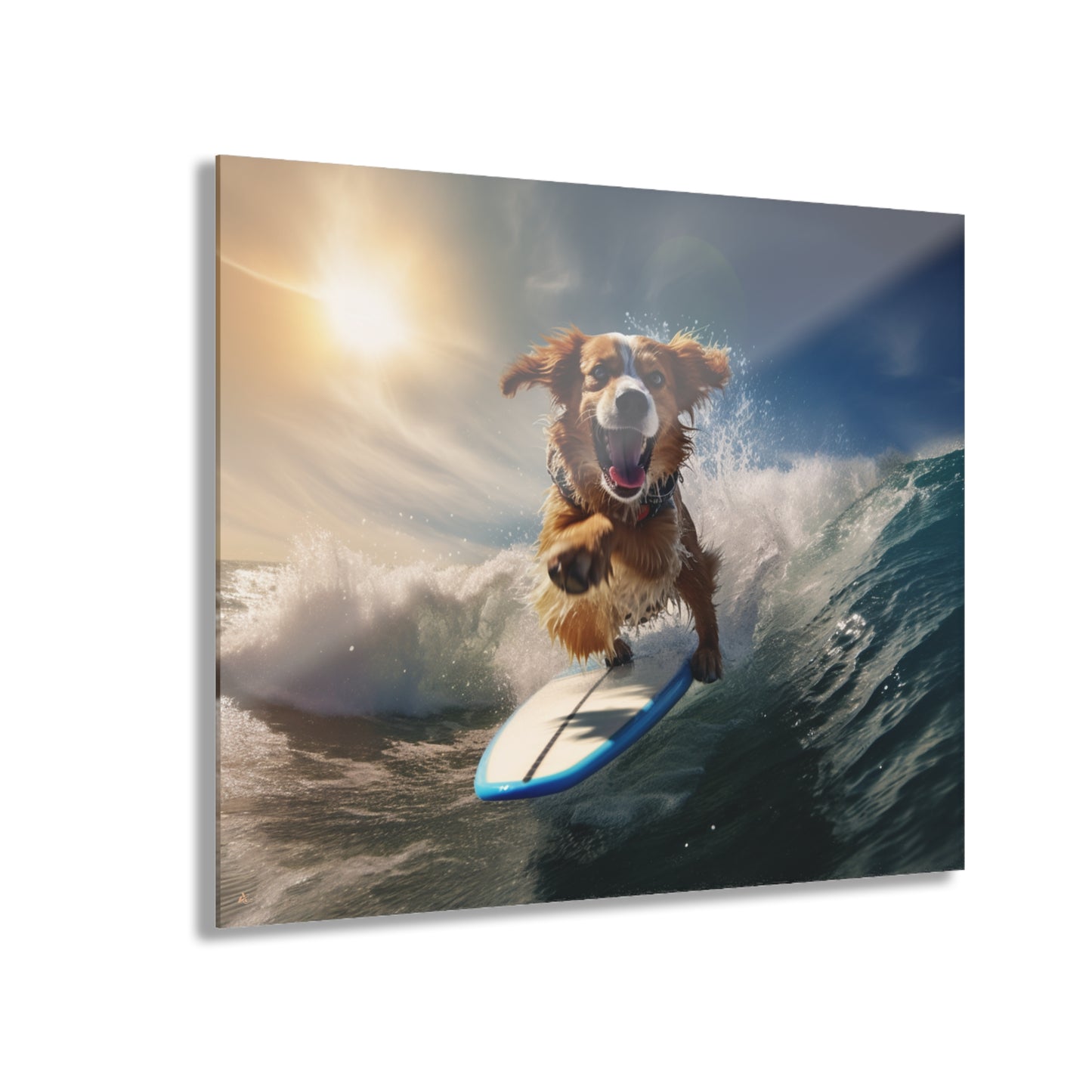 Surf's Pup, Animal Concept Style, Acrylic Wall Art