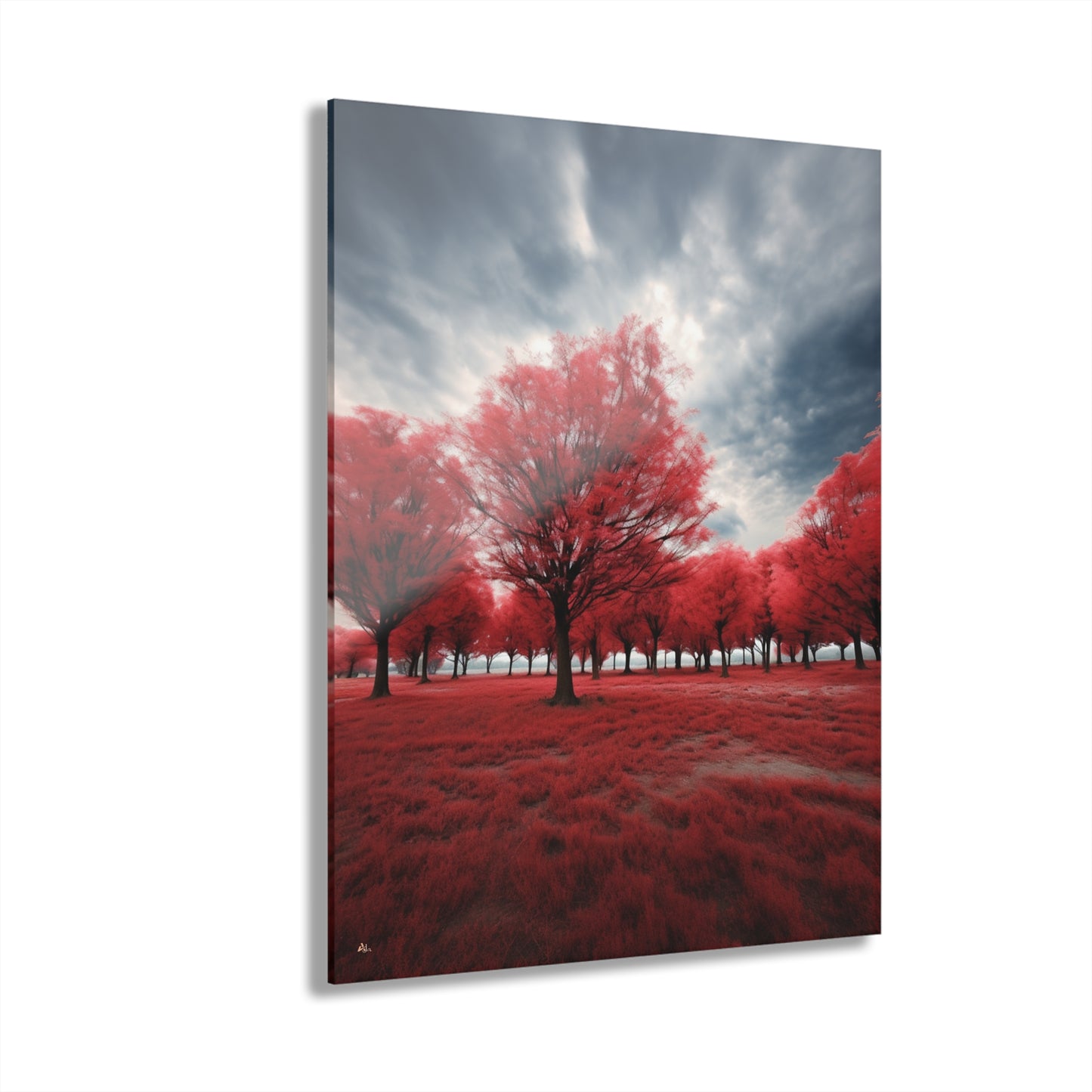 Red Bloom, Landscape, Concept, Acrylic Wall Art