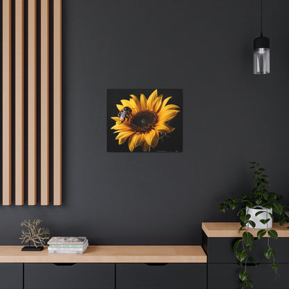 Bumblebee Sunflower Canvas Art