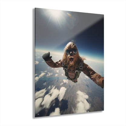 Sky Bacca, Pop Culture, Concept Style, Acrylic Wall Art