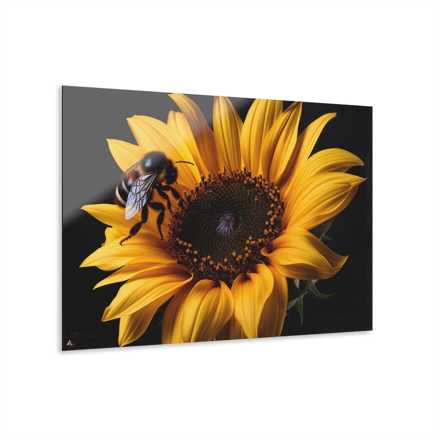 Bumblebee Sunflower, No Background Concept, Acrylic Wall Art