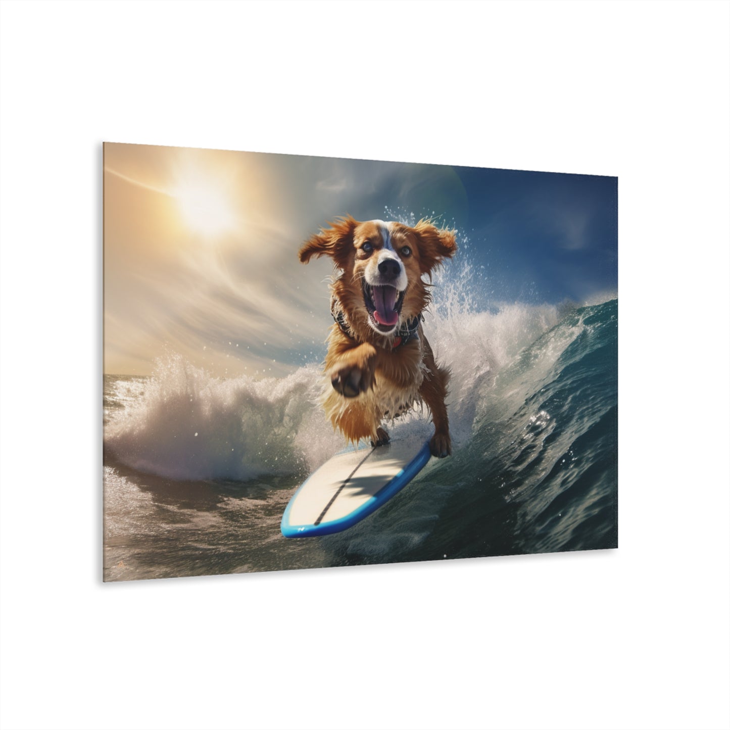 Surf's Pup, Animal Concept Style, Acrylic Wall Art