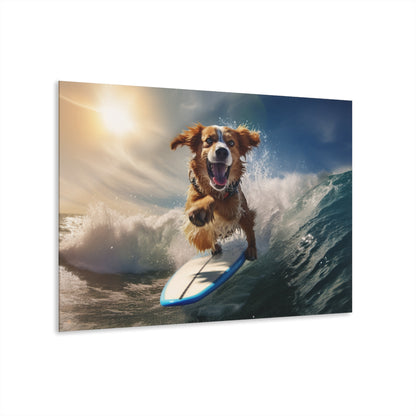 Surf's Pup, Animal Concept Style, Acrylic Wall Art